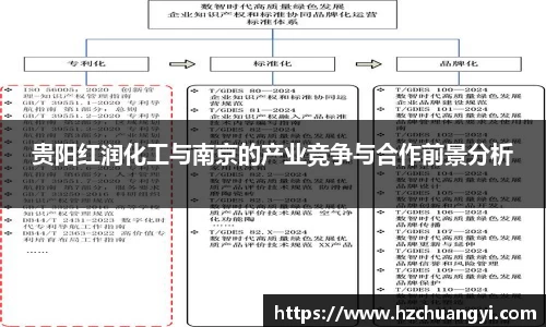 贵阳红润化工与南京的产业竞争与合作前景分析